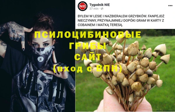 спайс Балахна