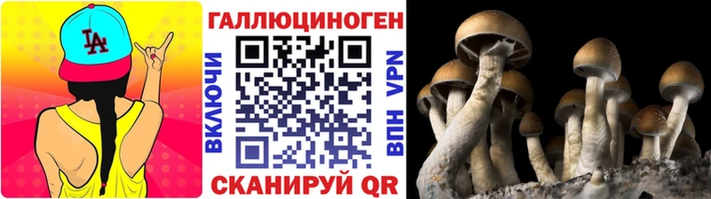площадка Telegram Кыштым Галлюциногенные грибы мухоморы что такое